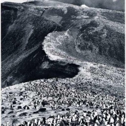 Sebastião Salgado   Photographs 32